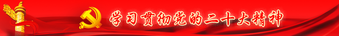 学习贯彻党的二十大精神